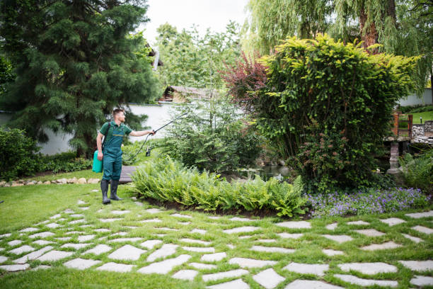 Pest Control Cost in Calverton, MD