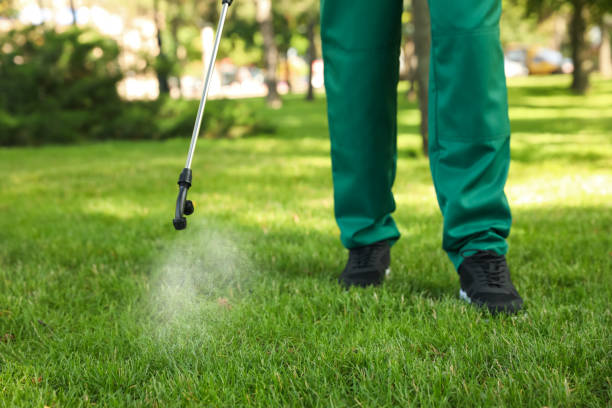 Best Mosquito Control Services  in Calverton, MD
