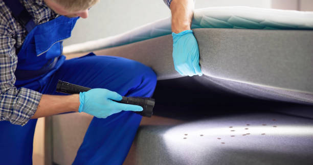 Flea Control Services in Calverton, MD