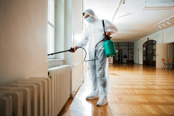 Trusted Calverton, MD Pest Control Experts