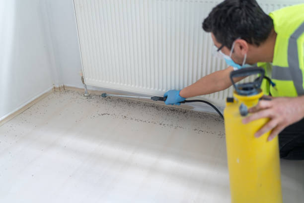 Best Best Pest Control Companies  in Calverton, MD